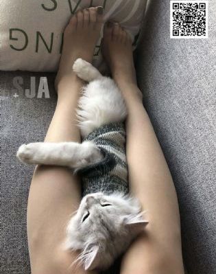 国产精品久久久久ab影院_BD国语免费全集观看